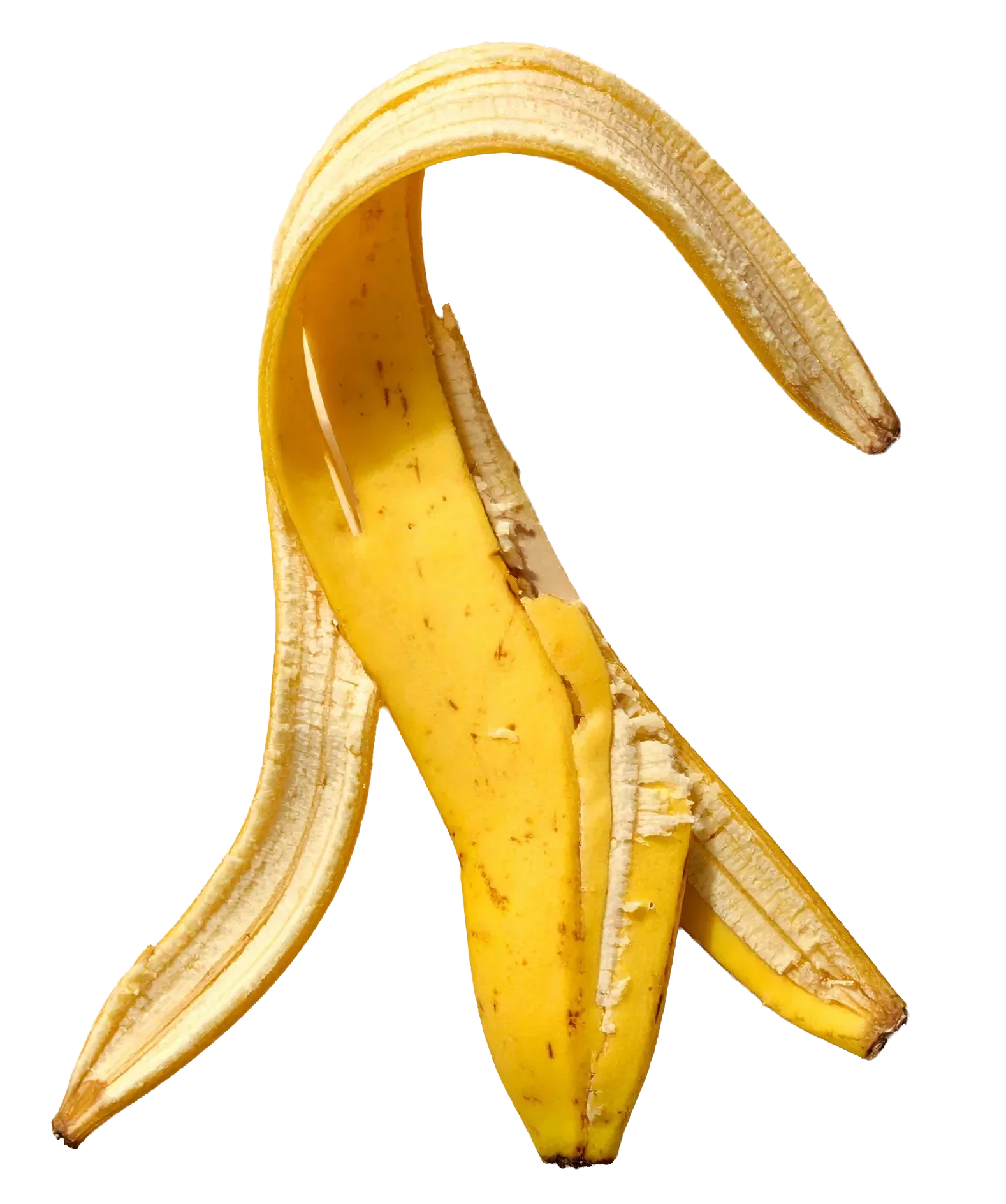 Packaging-Projekte von Estudio SR